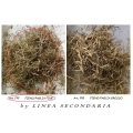 Fieno Paglia Fine FPF